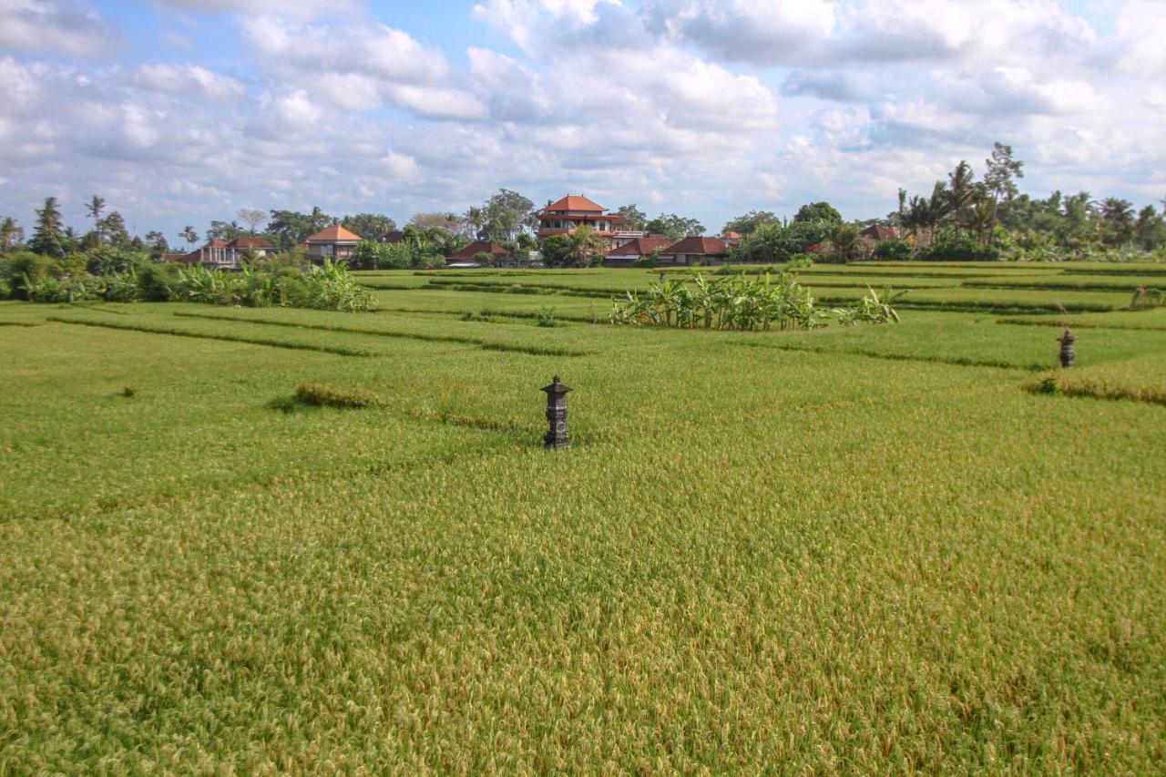 Kubu Sari Ubud Bagian luar foto