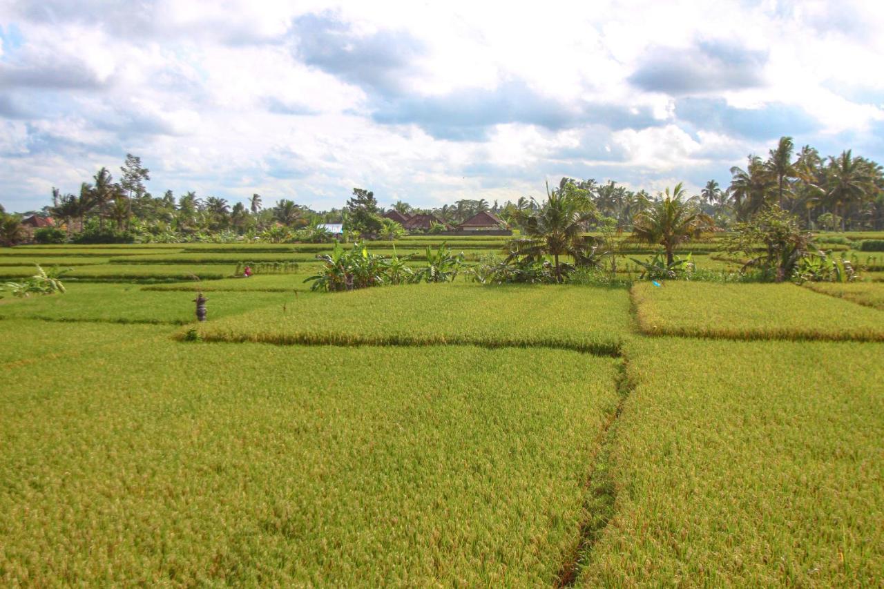 Kubu Sari Ubud Bagian luar foto
